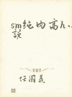 sm纯肉高h小说