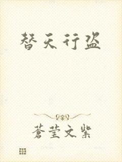 替天行盗