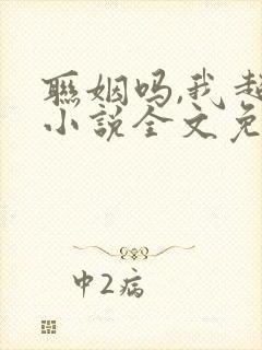 联姻吗,我超甜小说全文免费阅读封面