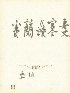 小说《官妻》免费阅读全文