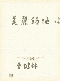美丽的他 小说