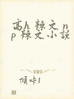 高h 辣文 np 辣文小说