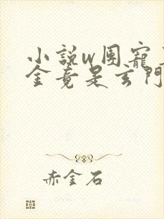 小说w团宠真千金竟是玄门大佬》