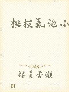 桃枝气泡小说