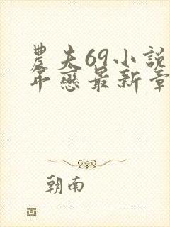 农夫69小说忘年恋最新章节更新内容