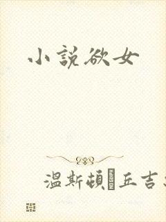 小说欲女