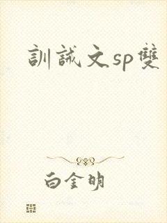 训诫文sp双男