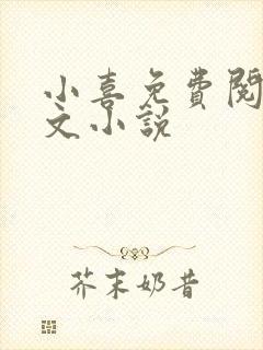 小喜免费阅读全文小说