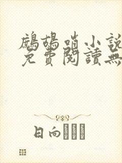 鹧鸪哨小说网站免费阅读无弹窗