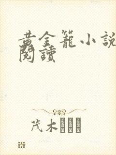 黄金笼小说免费阅读