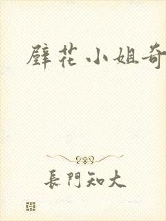 壁花小姐奇遇记