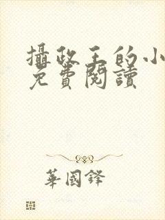 摄政王的小娇妃免费阅读