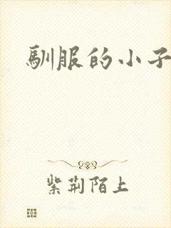 驯服的小子4