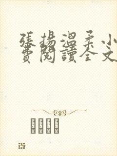 张扬温柔小说免费阅读全文