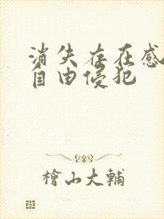 消失存在感消失自由侵犯