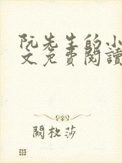 阮先生的小说全文免费阅读无弹窗