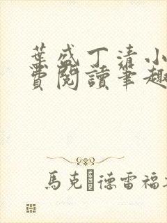叶盛丁清小说免费阅读笔趣阁封面
