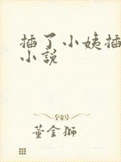 插了小姨插妈妈小说