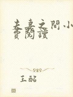 夫妻之间小说免费阅读