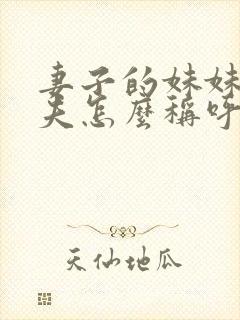 妻子的妹妹的丈夫怎么称呼封面