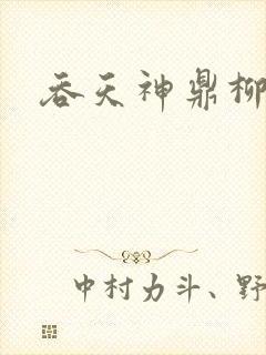 吞天神鼎柳无邪