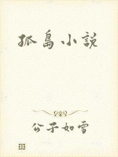 孤岛小说
