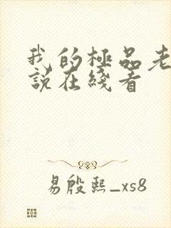 我的极品老婆小说在线看封面