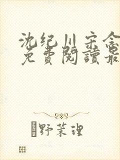 沈纪川宋念小说免费阅读最新章节封面