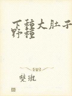 下种大肚子怀孕野种