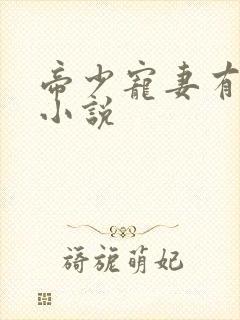 帝少宠妻有点甜小说