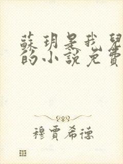苏玥是我儿媳妇的小说免费阅读封面