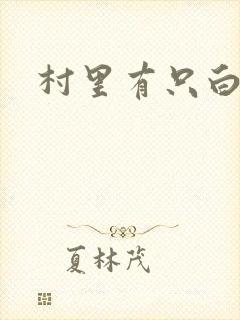 村里有只白骨精封面