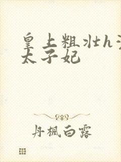 皇上粗壮h灌满太子妃
