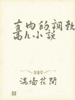 有肉的调教np高h小说