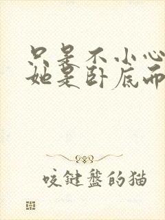 只是不小心发现她是卧底而已封面