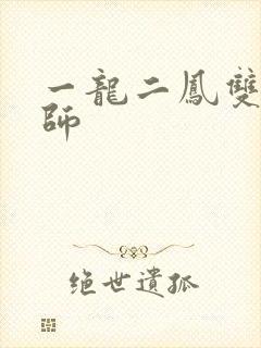 一龙二凤双飞老师