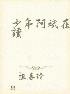 少年阿斌在线阅读