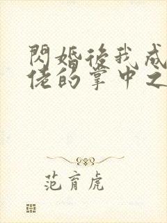 闪婚后我成了大佬的掌中之物短剧免费封面