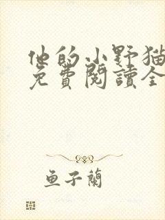 他的小野猫小说免费阅读全文