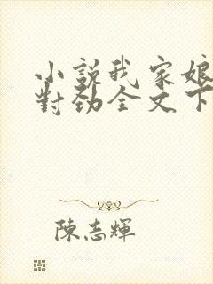 小说我家娘子不对劲全文下载