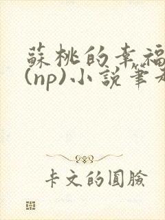苏桃的幸福生活(np)小说笔趣阁沐沐封面
