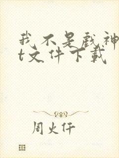 我不是戏神txt文件下载