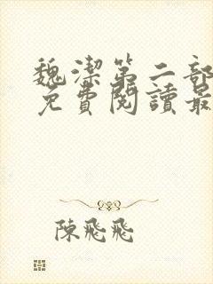魏洁第二部小说免费阅读最新章节