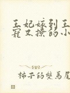 王妃嫁到王爷又宠又撩的小说