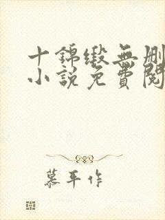 十锦缎无删原著小说免费阅读