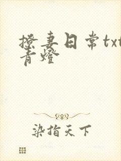 撩妻日常txt青灯