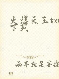火爆天王txt下载