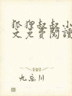 狐狸叔叔小说全文免费阅读无删减
