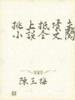 挑上抵债未婚妻小说全文阅读封面
