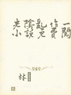 光阴乱作一团的小说免费阅读